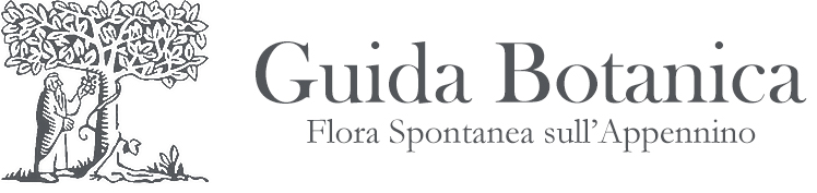 Guida alla Flora Spontanea